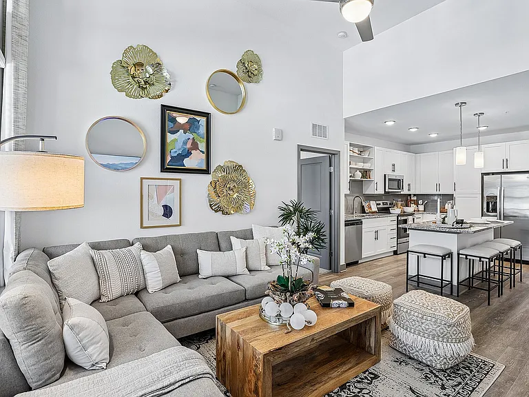Living / Kitchen Space
