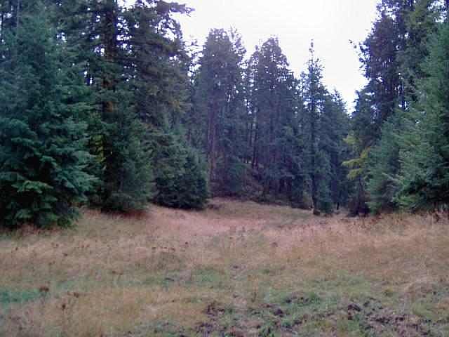 2nd image of 0 Behrens Rd