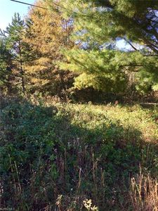 5807 Pepper Rd, Oak Ridge, NC, 27310