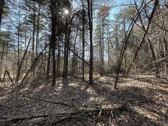 3rd image of 0 Hardwood Trl