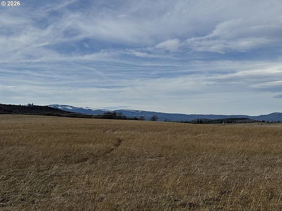 4th image of Woodland Rd