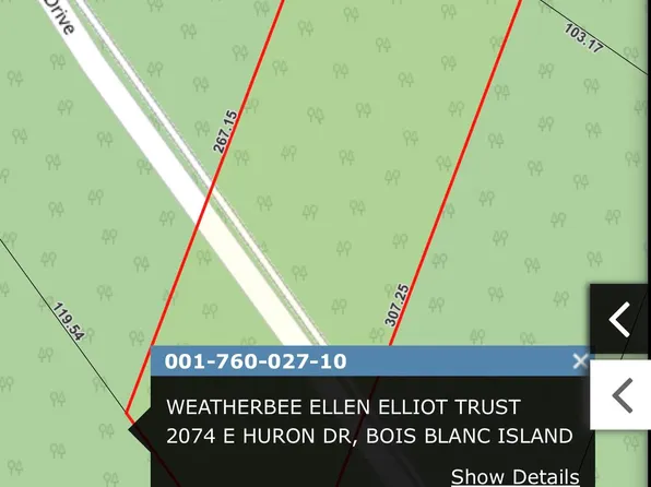 27 E Huron Dr, Pointe Aux Pins, MI 49775