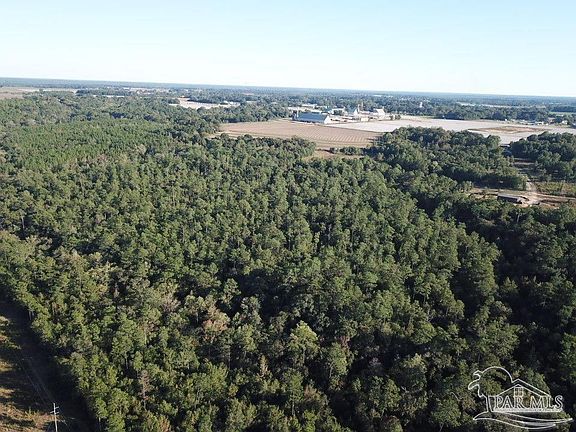 5th image of 85/ACRE S Wiley Scott Rd