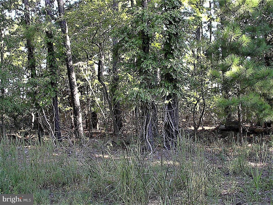 1st image of 4433 Hall Road