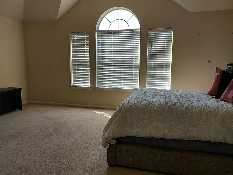 822 Forest Thicket Ln — Photo 3