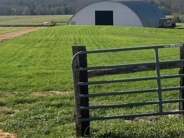 4461 Buchanan Rd, Buchanan, TN 38222