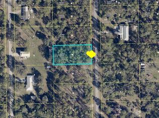 2215 Roosevelt Ave, Alva, FL 33920