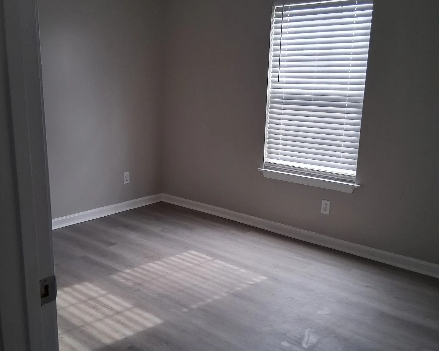 Newly Renovated — Photo 4