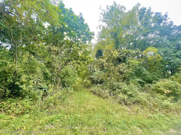 6755 Hivon Rd, Carleton, MI 48117