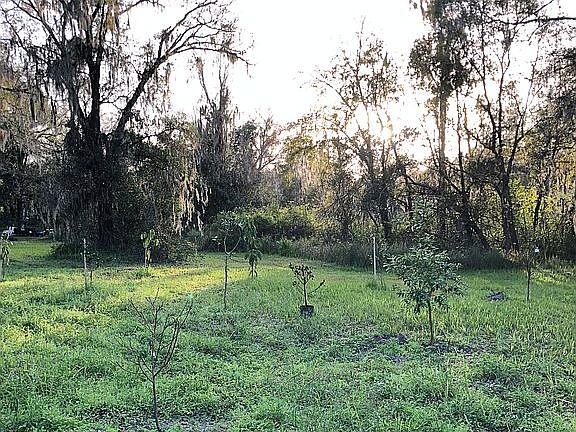 2nd image of 325 W Socrum Loop Rd