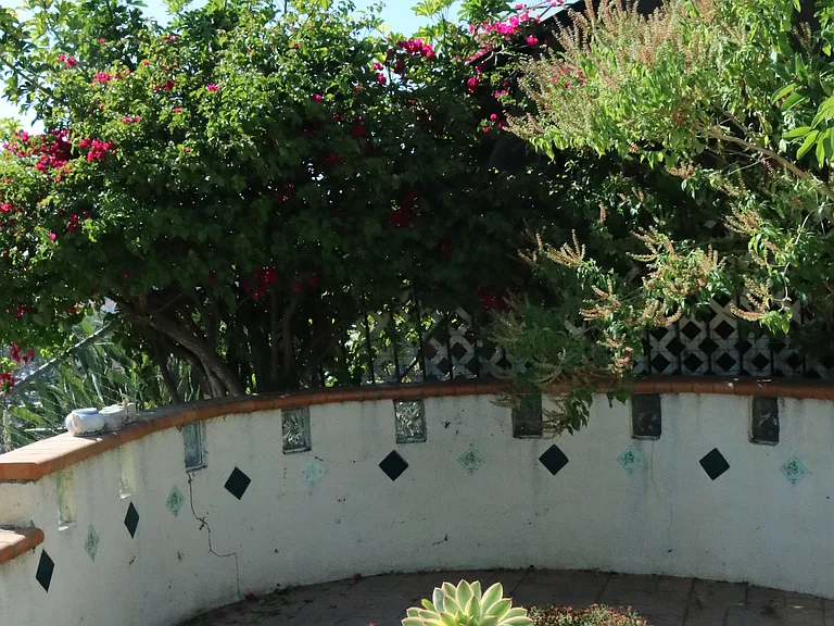 26524 Avenida Veronica — Photo 27