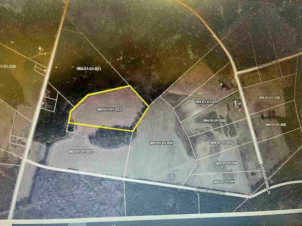 000 Wolftrap Ln, Blenheim, SC 29516