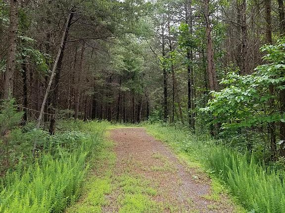 Image 4: : Beginning of Driveway