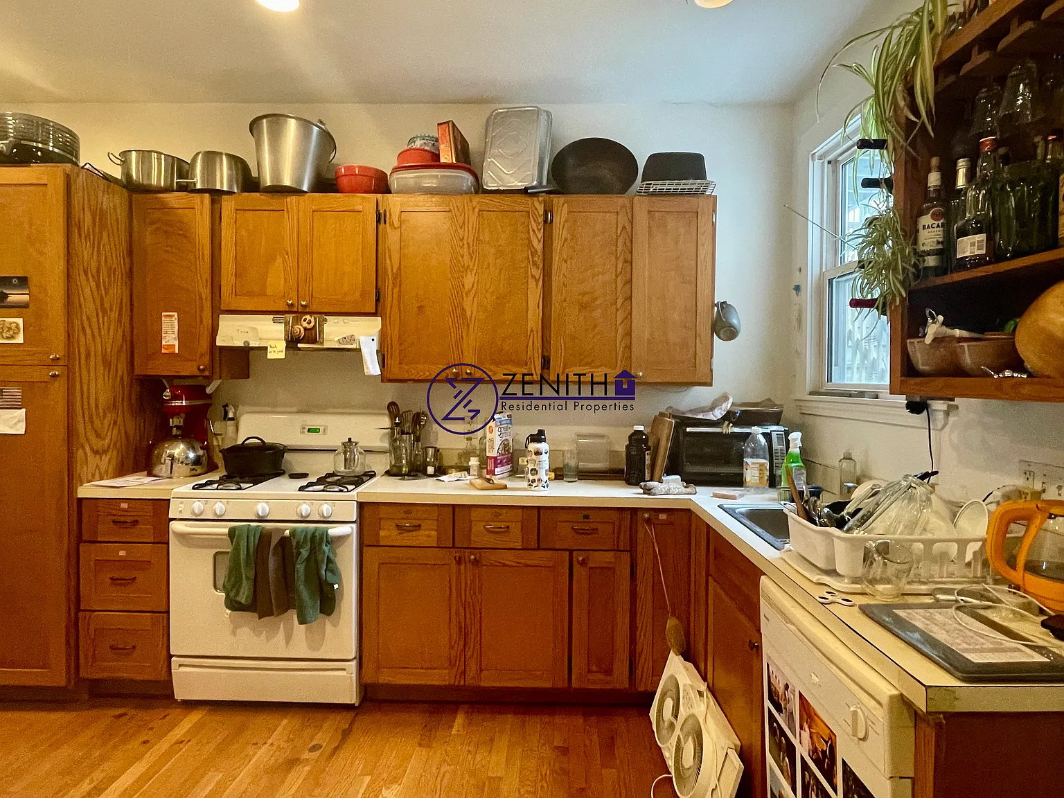 1 bed, 800 sqft, $2,475 — Photo 2