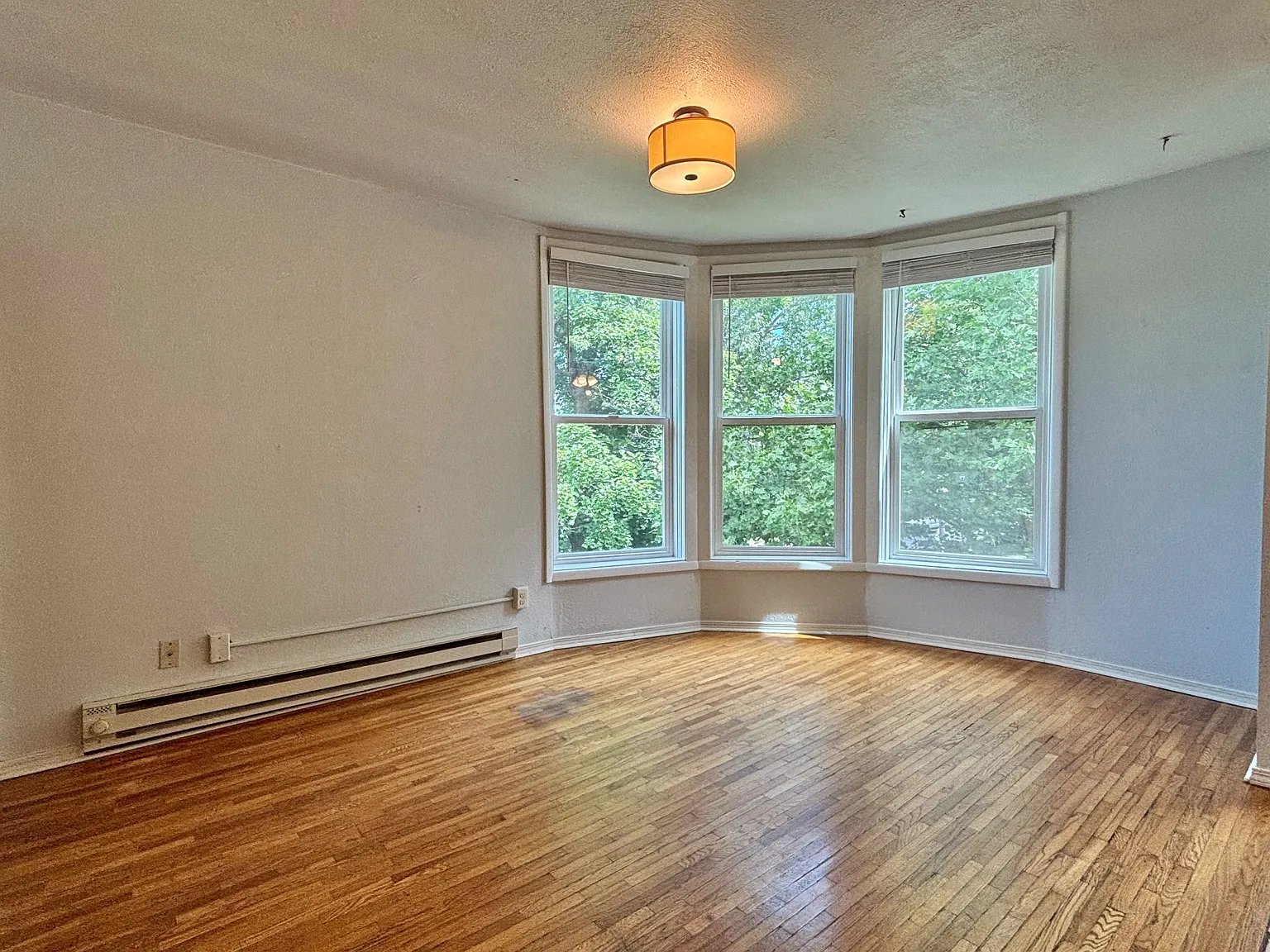 1 bed, 700 sqft, $1,095 — Photo 3