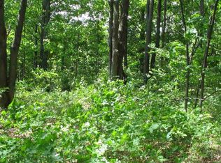 8483 S Bohemian Rd, Maple City, MI 49664