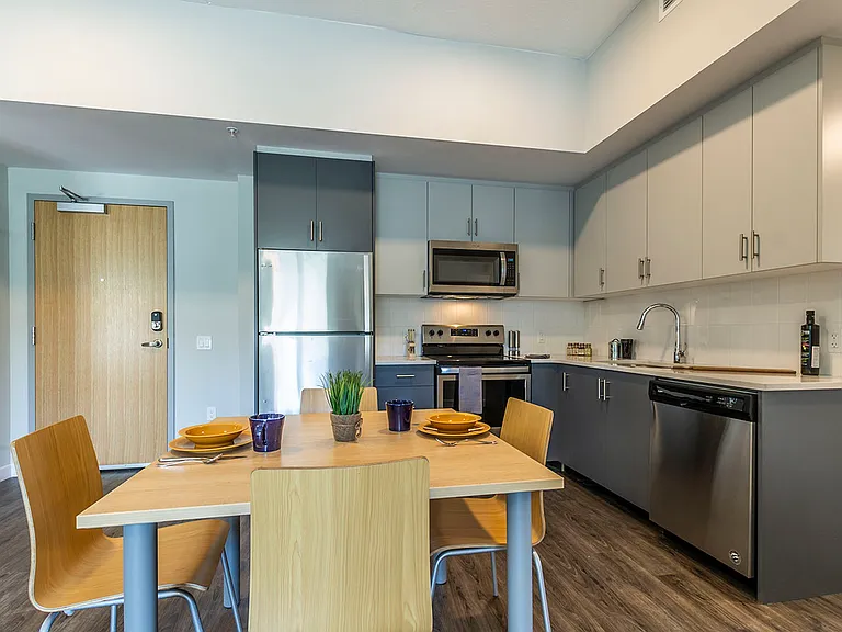 Apartment Kitchen