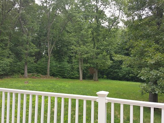 View from Deck