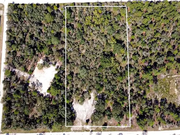 13251 SE 25th St, Morriston, FL 32668