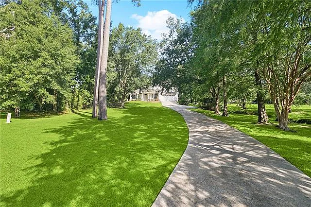 35 Elmwood Loop — Photo 2