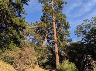 Orchard Rd, Dart canyon, CA 92325