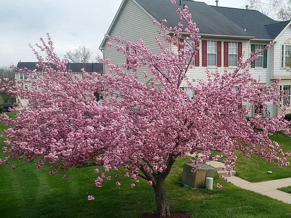 View from front door
