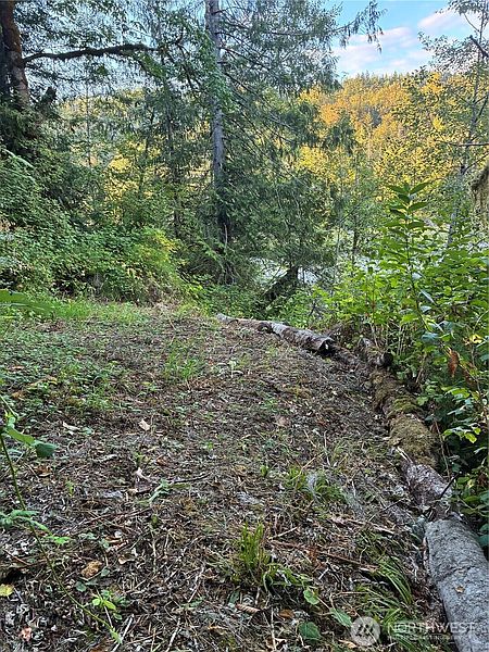 3rd image of 3 Mt. Index River Road