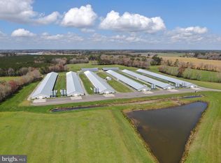 1143 Buck Harbor Rd, Pocomoke City, MD 21851