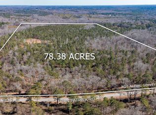 0 Dean Patrick Rd, Jackson, GA 30233