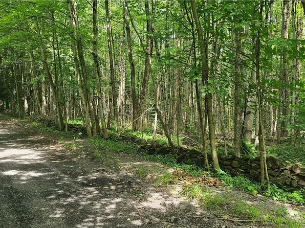 (undisclosed Address), Camden, NY 13316