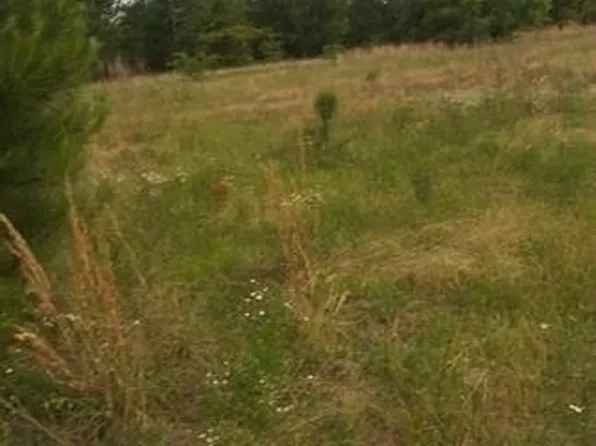 0 Ponderosa Rd, Waynesboro, GA 30830