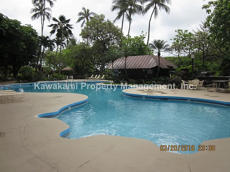 531 Hahaione St #2D — Photo 3