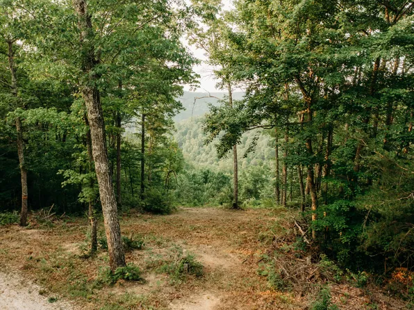 1162 Forest View Dr, Frenchburg, KY 40322