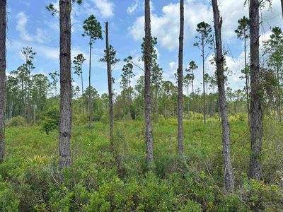 TRACT 90 Circle Block Loop, Perry, FL, 32348