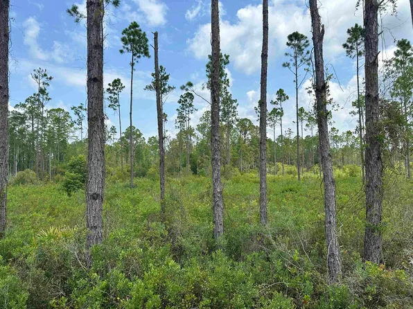 TRACT 90 Circle Block Loop, Perry, FL 32348