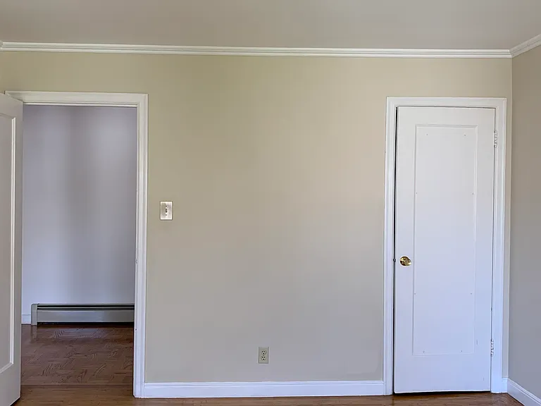 Bedroom with walk-in closet