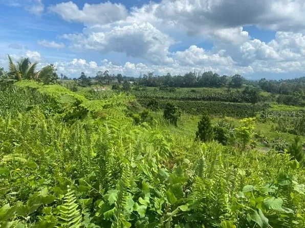 Carr #152-D, Barranquitas, PR 00794