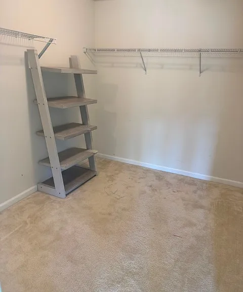 7 Walnut Way — Photo 12