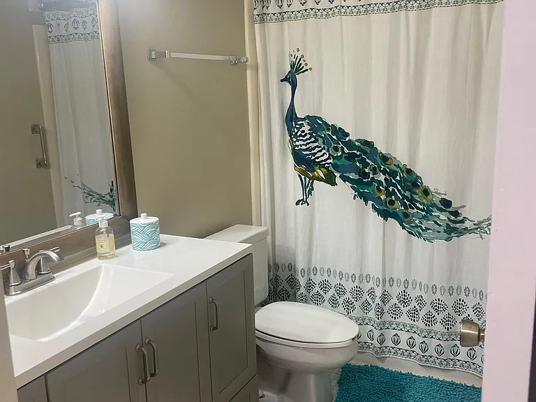 Guest Bath
