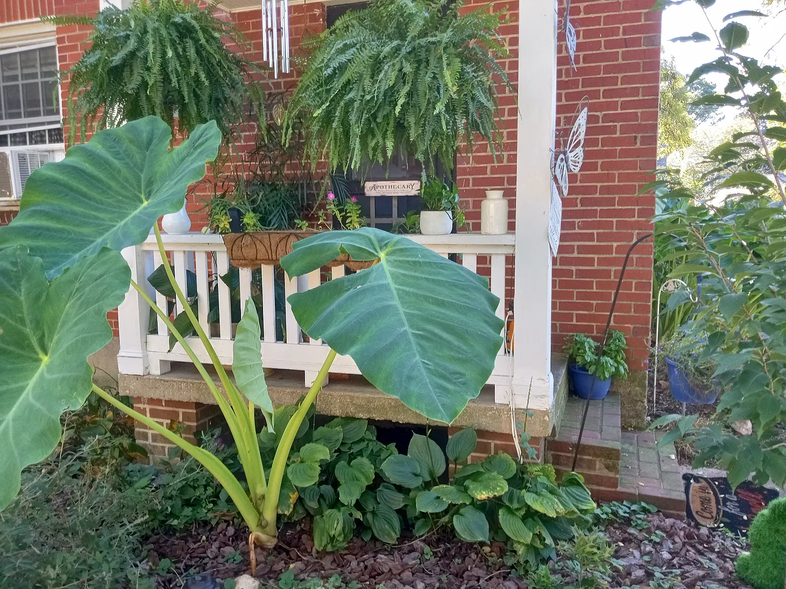 1213 Colony Road — Photo 3