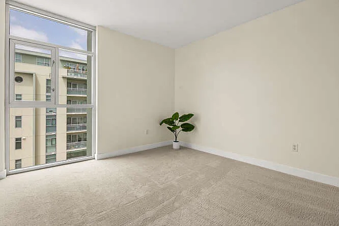 3812 Park Blvd #414-1-1 — Photo 3