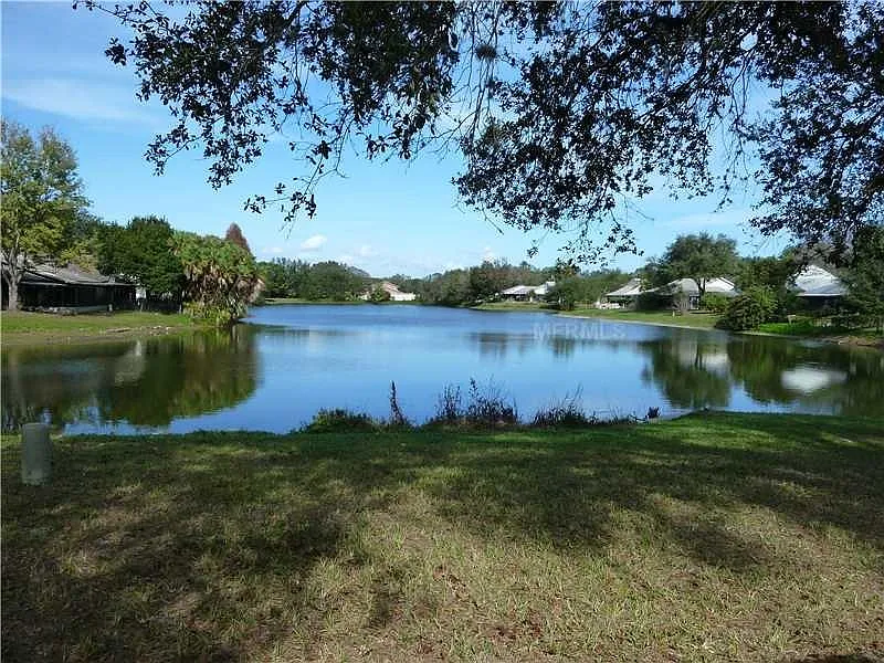 Peaceful view