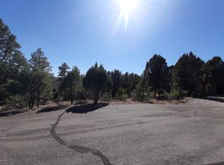 2235 Par Pl, Overgaard, AZ 85933