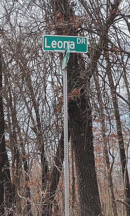 1st image of Leona Dr