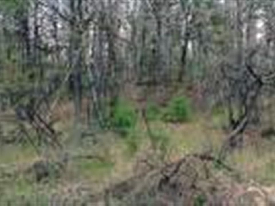 1st image of 2050 Cypress Ln