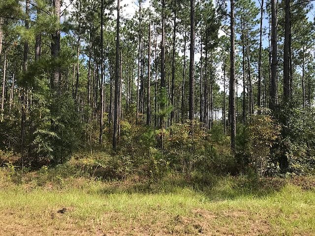 2nd image of 0 Cordele Hwy