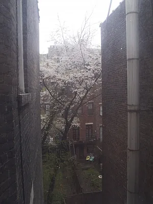 Rented by Bohemia Realty Group | media 27