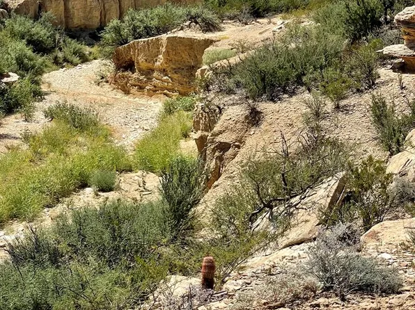 Mailbox Rd, Terlingua, TX 79852