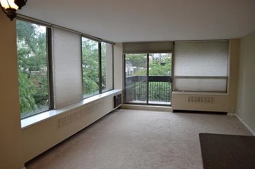1455 N Sandburg Ter #308 — Photo 4