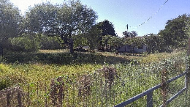 2nd image of 1901 N Glasscock Rd